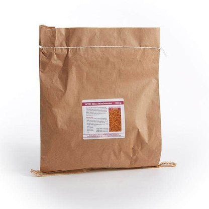 Click & Collect LIVE Mealworms 1kg