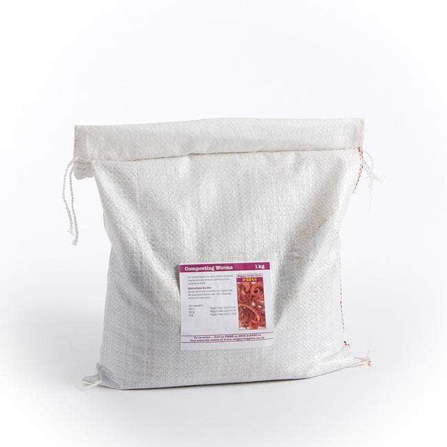 Click & Collect Composting Worms 500g