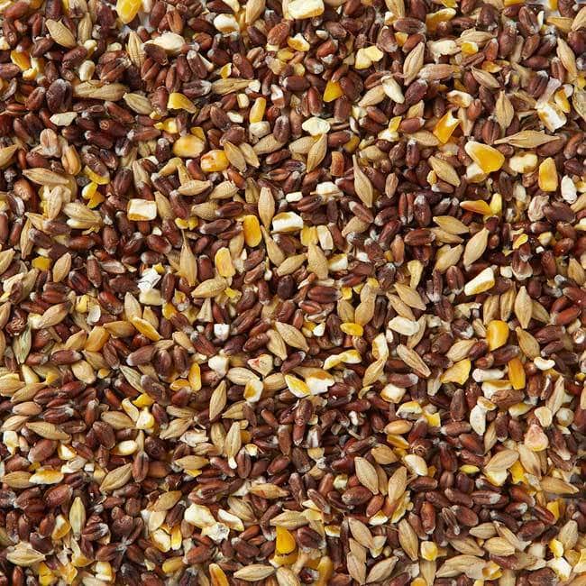 Click & Collect Wiggly Mixed Corn 2x12.55kg
