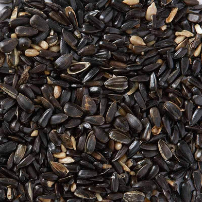 Click & Collect Black Sunflower Seed 12.55kg