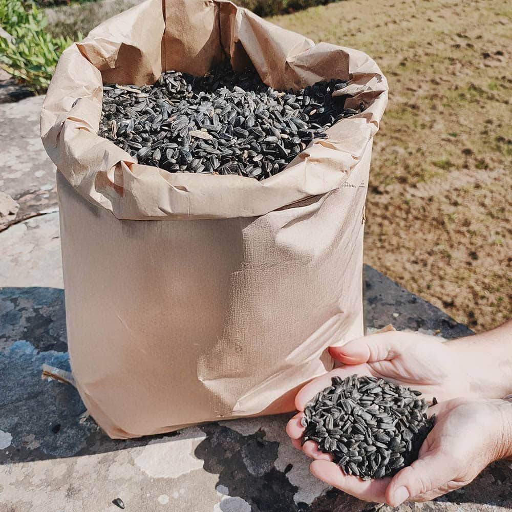 Click & Collect Black Sunflower Seed 12.55kg