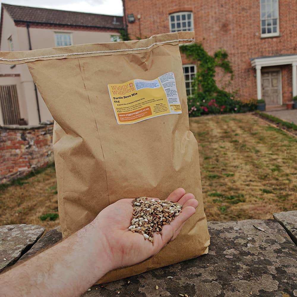 Turtle Dove Mix 6kg