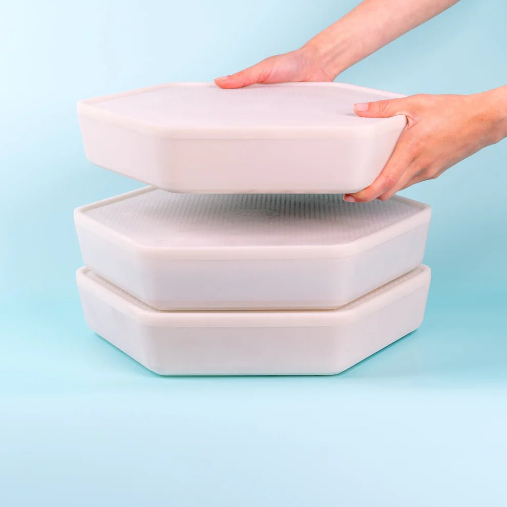 Grow your own Mealworm Bug Factory