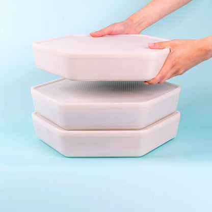Grow your own Mealworm Bug Factory
