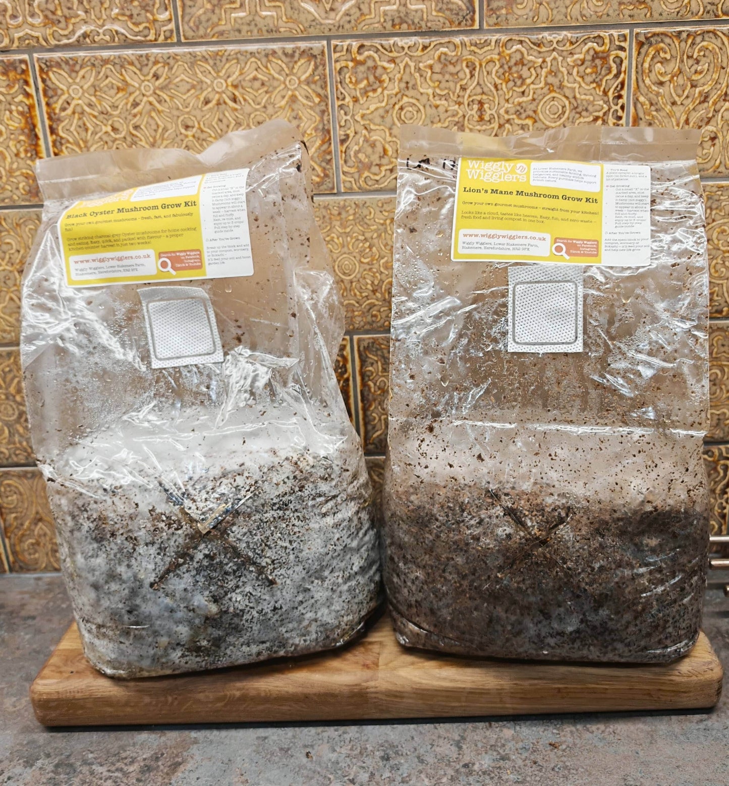 Mushroom Kits - Farm Gate Friday