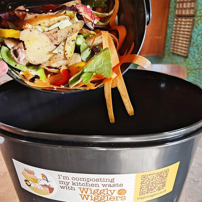 Wiggly Bokashi Organko Essential Compost Kitchen Waste Complete Kit - Black -SUBSCRIBER EXCLUSIVE OFFER