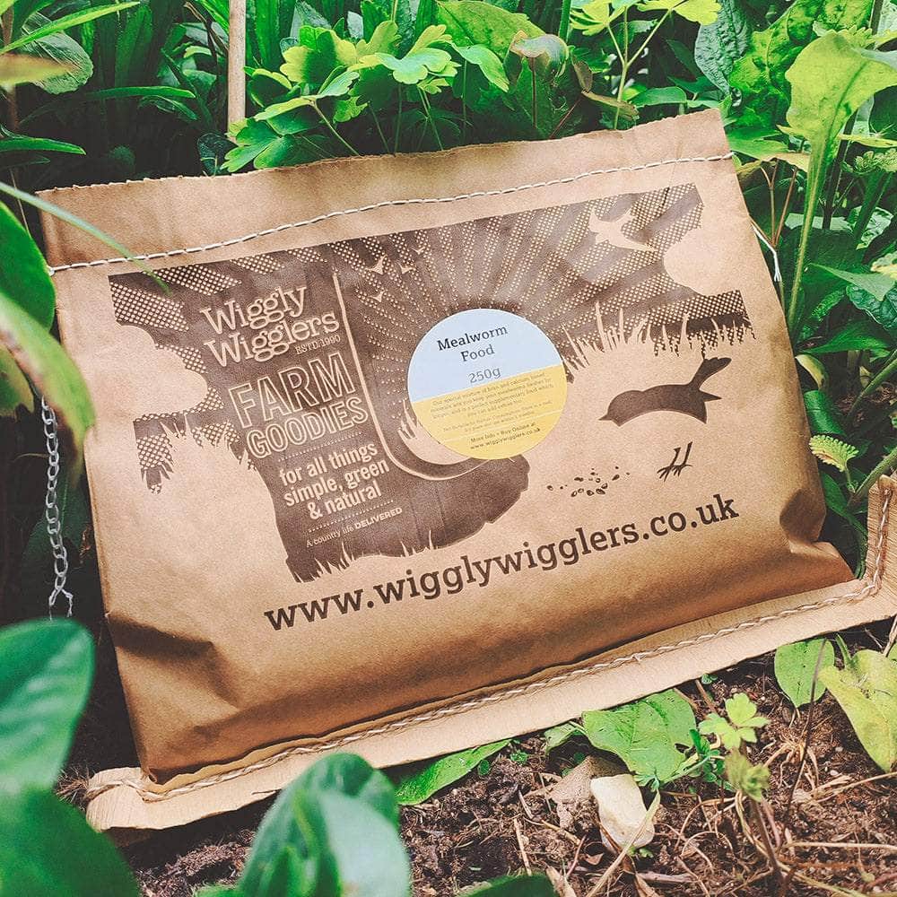 Mealworm Food