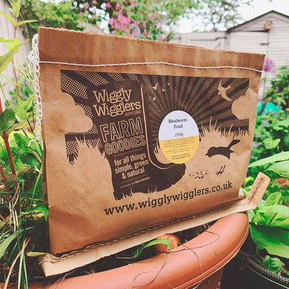 Mealworm Food