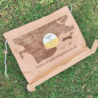 Mealworm Food