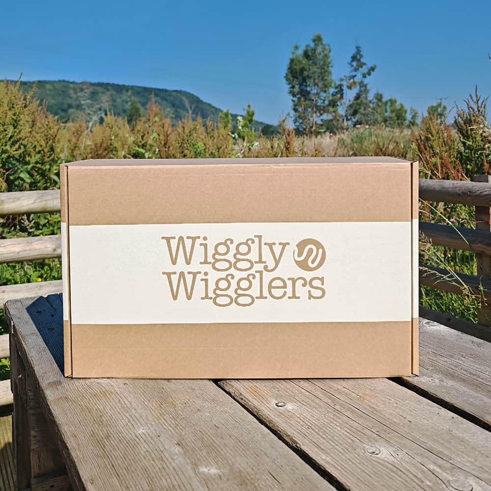 Wiggly Mystery Box