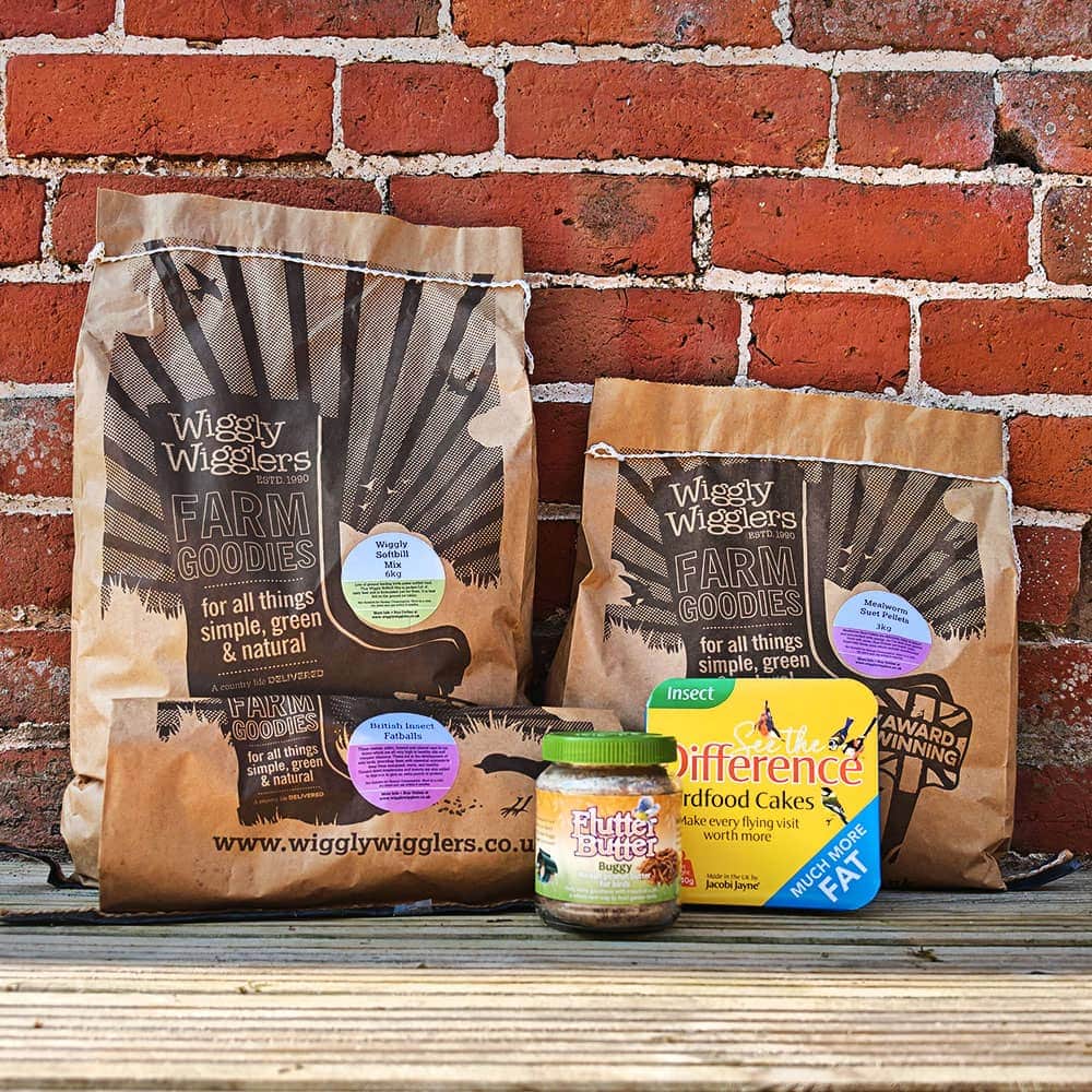 Wiggly Buggy Bonanza