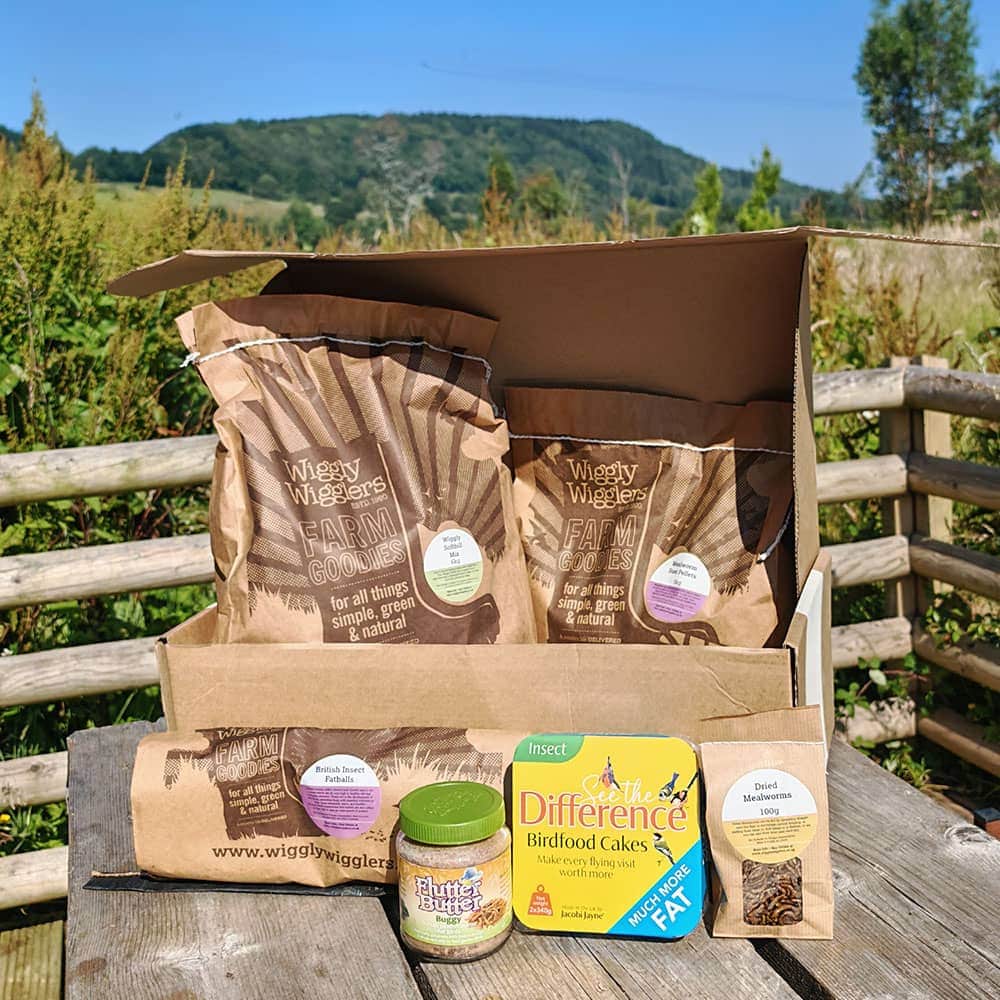 Wiggly Buggy Bonanza