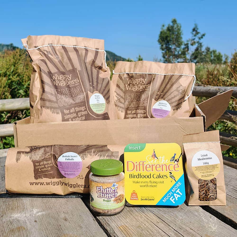 Wiggly Buggy Bonanza