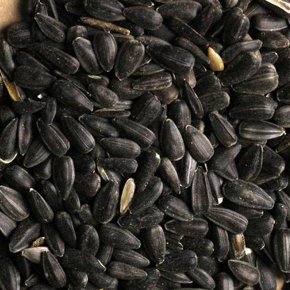Click & Collect Black Sunflower Seed 12.55kg