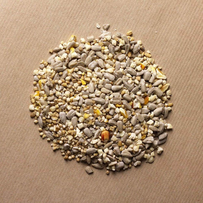 25kg Huskless (No Grow) Mix + 20 FREE Insect Suet Balls