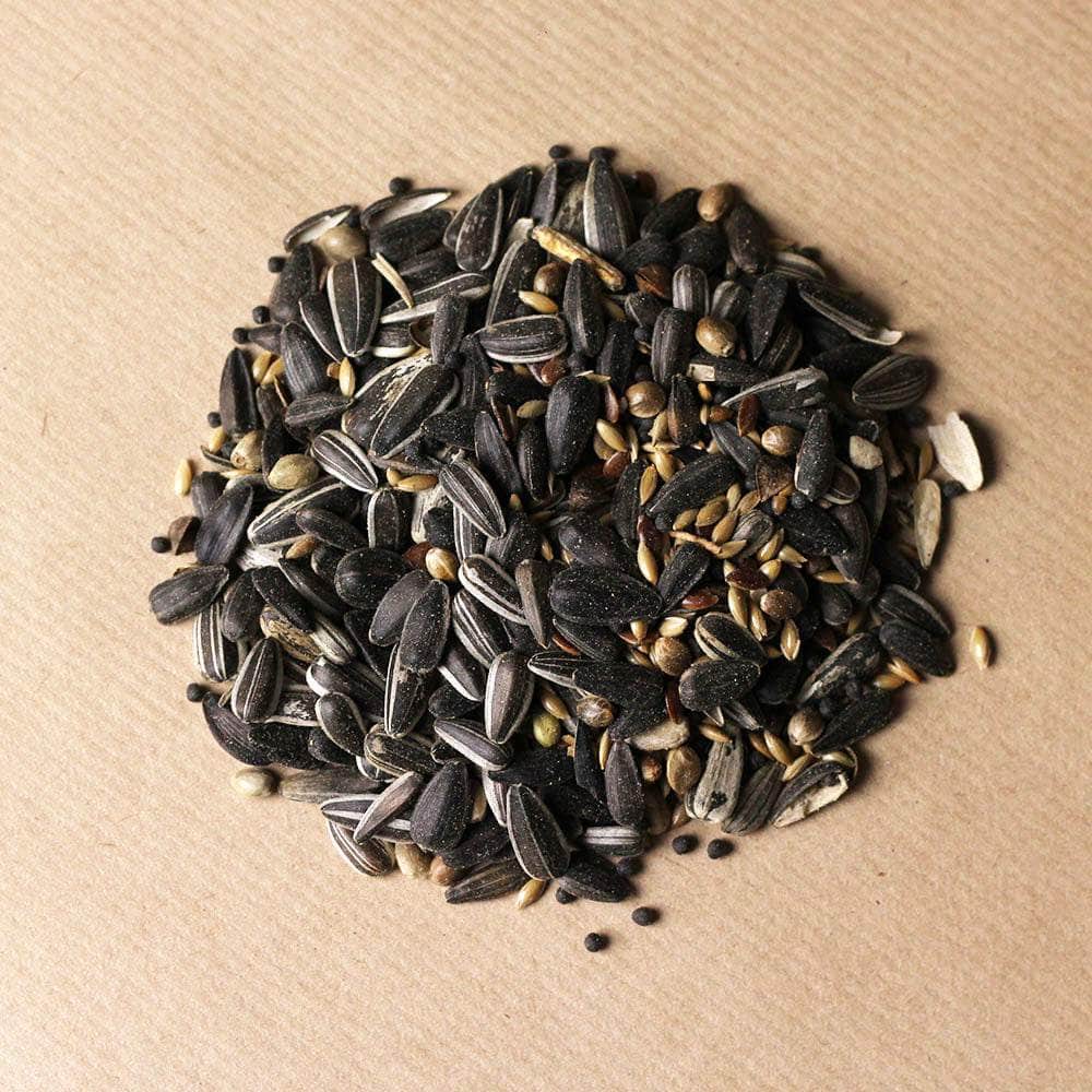12.55kg Wiggly Seed Extra + 10kg Berry Suet Pellets