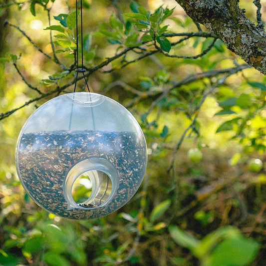 Berry Hanging Bird Feeder