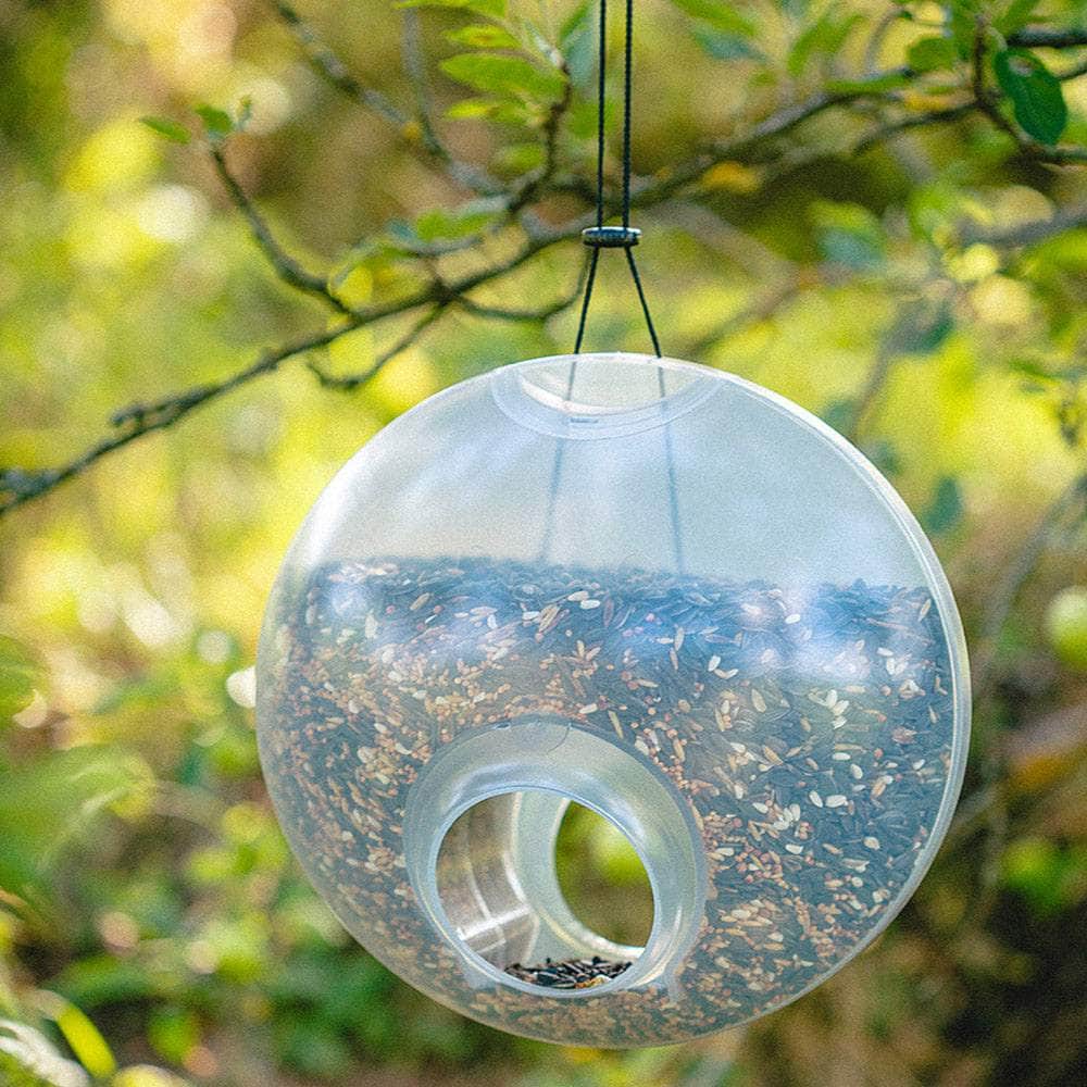 Berry Hanging Bird Feeder
