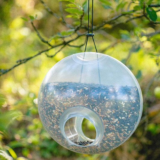 Berry Hanging Bird Feeder