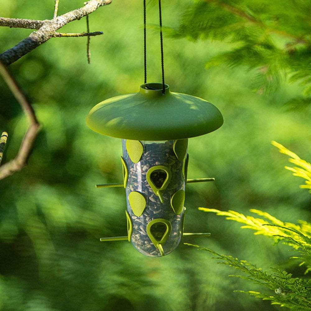 Robin 2-in-1 Bird Feeding Set