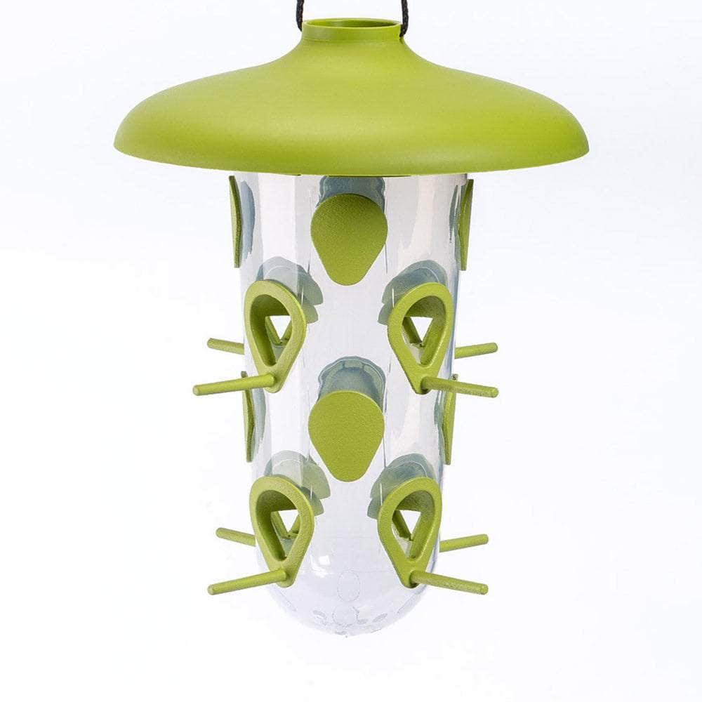 Robin 2-in-1 Bird Feeding Set