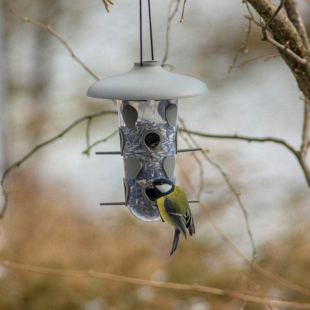 Robin 2-in-1 Bird Feeding Set