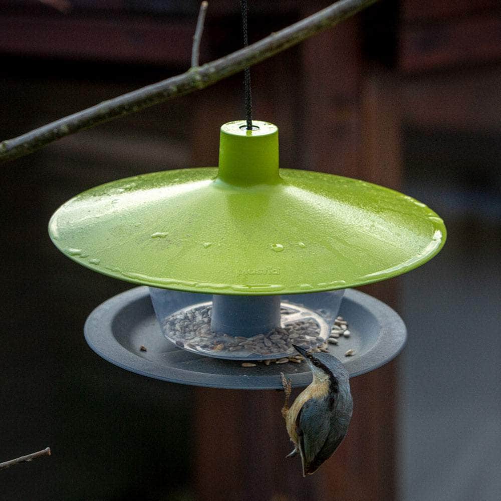 Finch Hanging Bird Feeder