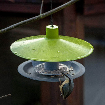 Finch Hanging Bird Feeder