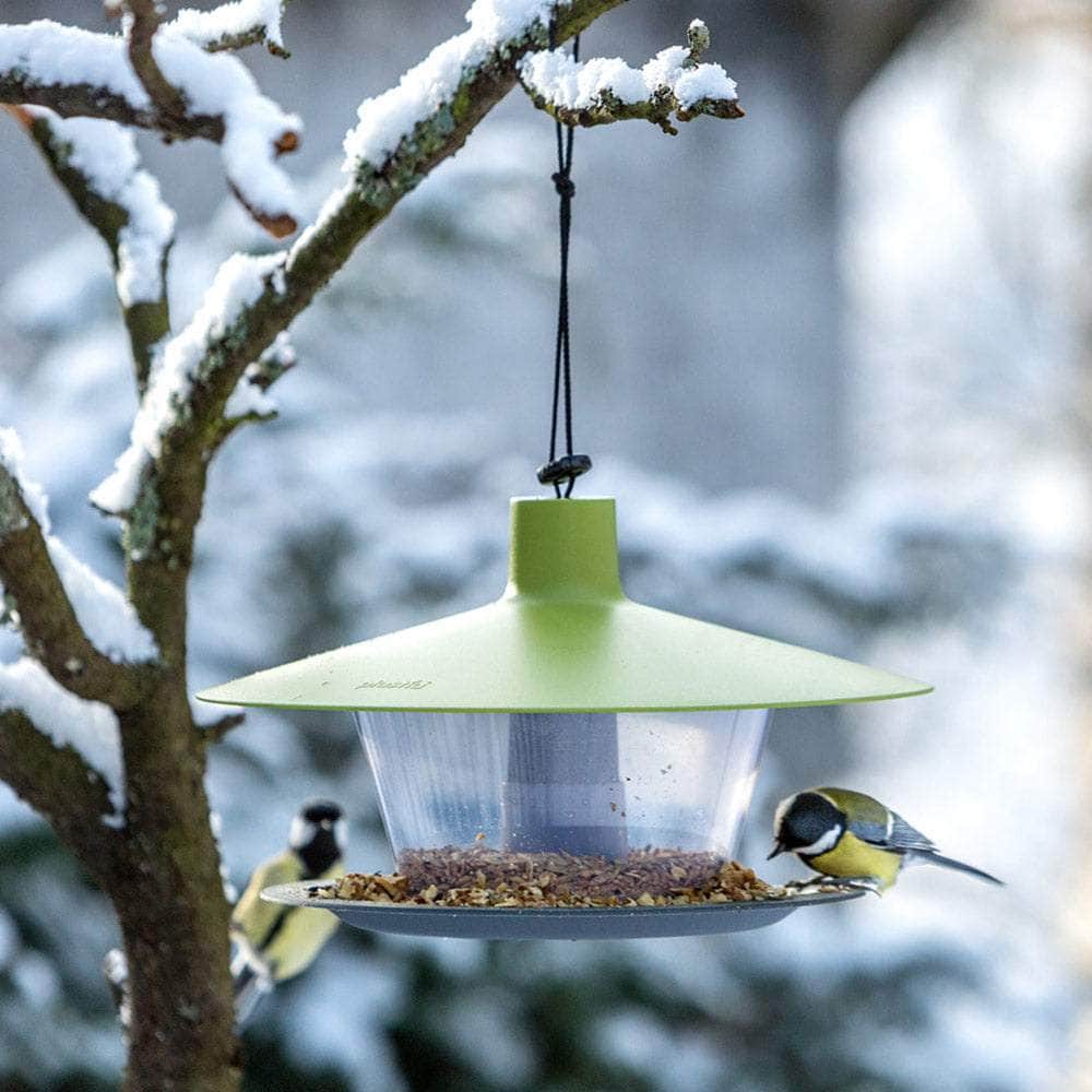 Finch Hanging Bird Feeder