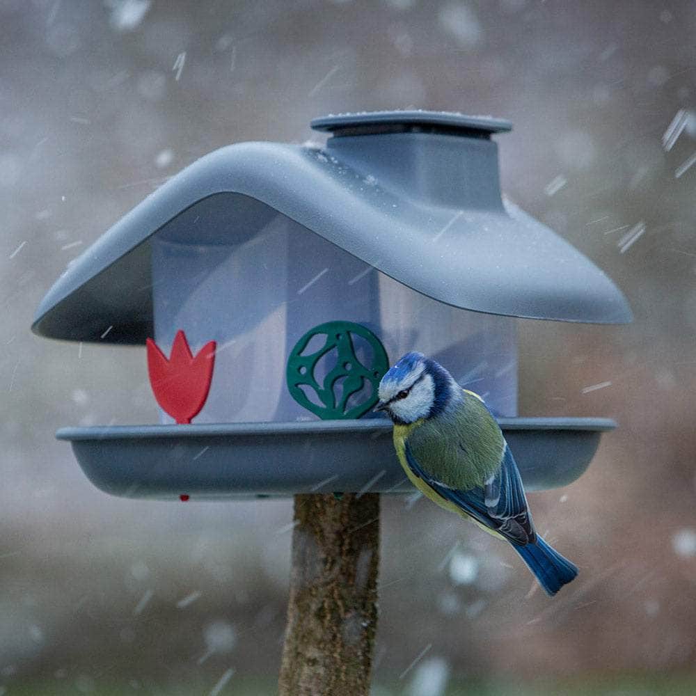 Domek Birdhouse Bird Feeder