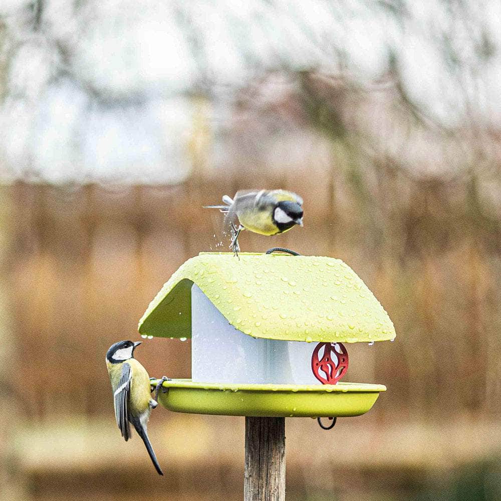 Domek Birdhouse Bird Feeder