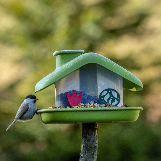 Domek Birdhouse Bird Feeder