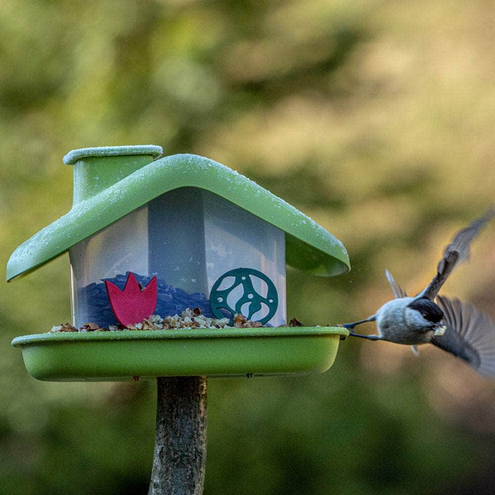 Domek Birdhouse Bird Feeder
