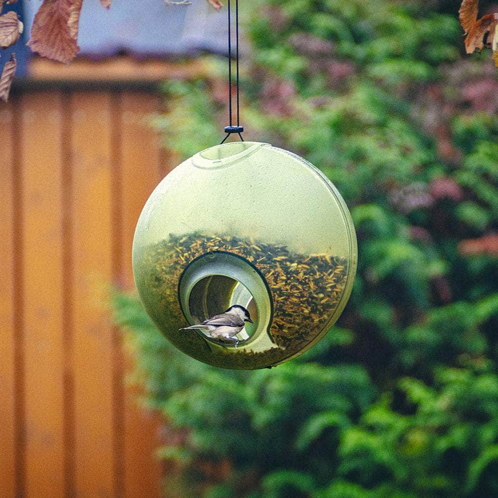 Berry Hanging Bird Feeder Green