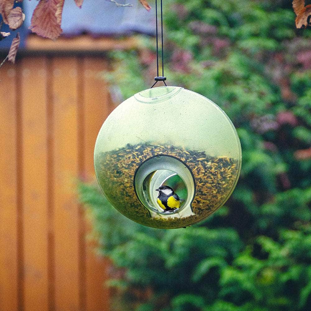 Berry Hanging Bird Feeder