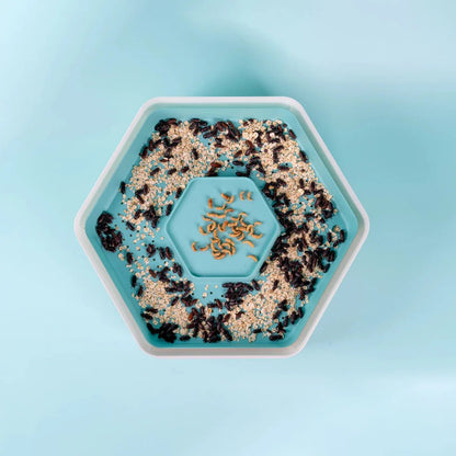 Grow your own Mealworm Bug Factory