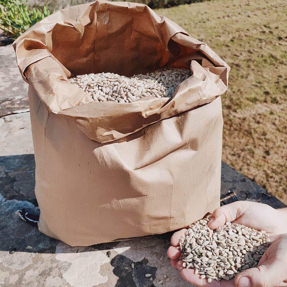 Sunflower Hearts - High Energy