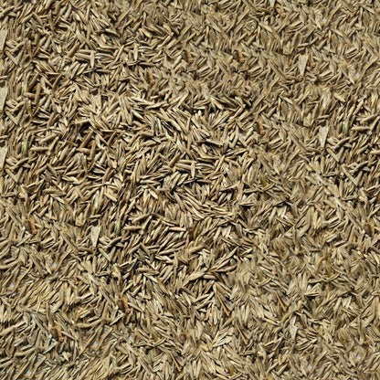 Click & Collect Grass Seed - Homegrown On Our farm 2kg