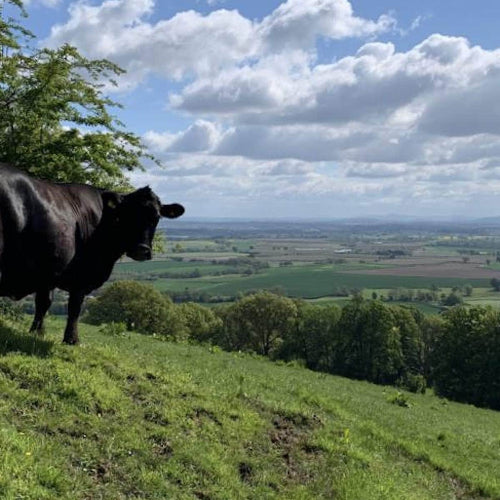 Farm Tour Voucher