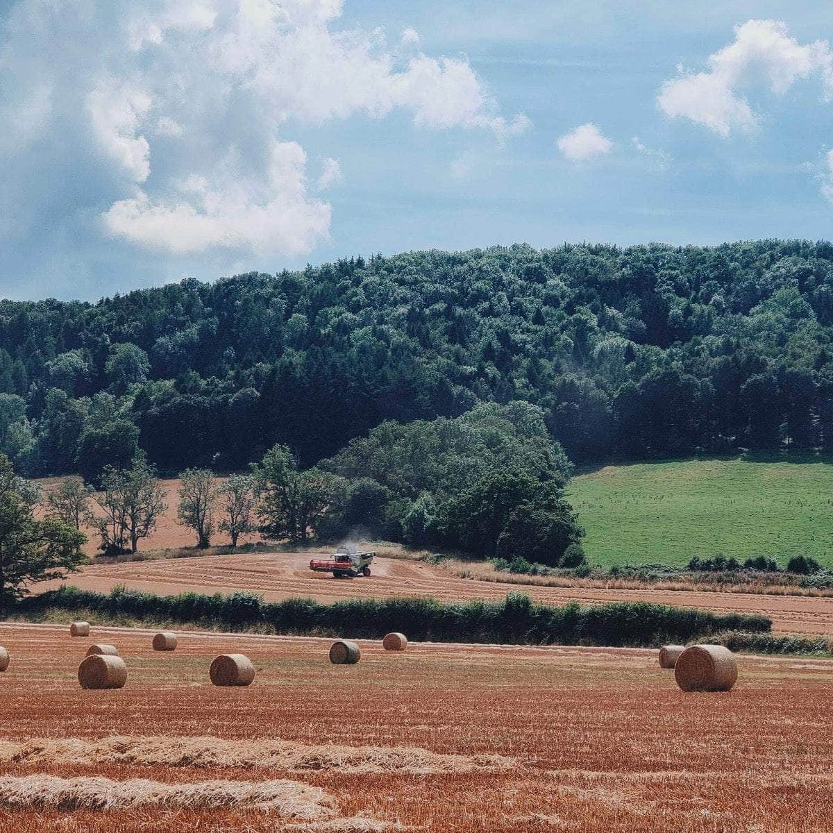 Lower Blakemere Farm Tour