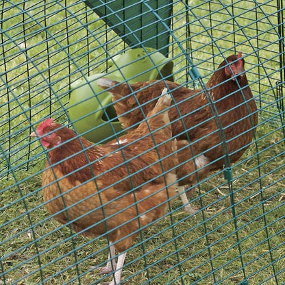 Live Bokashi Bran for Hens