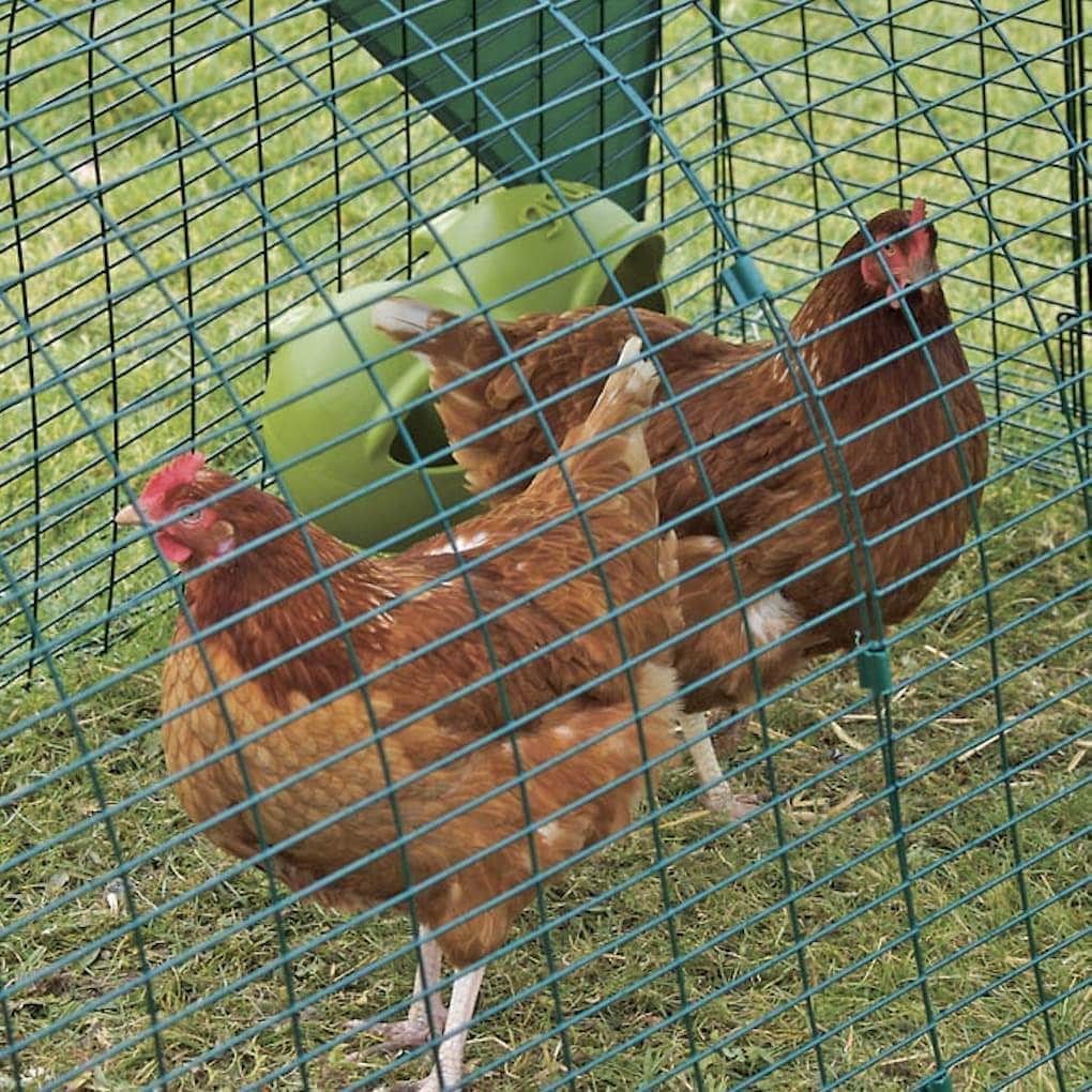 Click & Collect Live Bokashi Bran for Hens 5kg