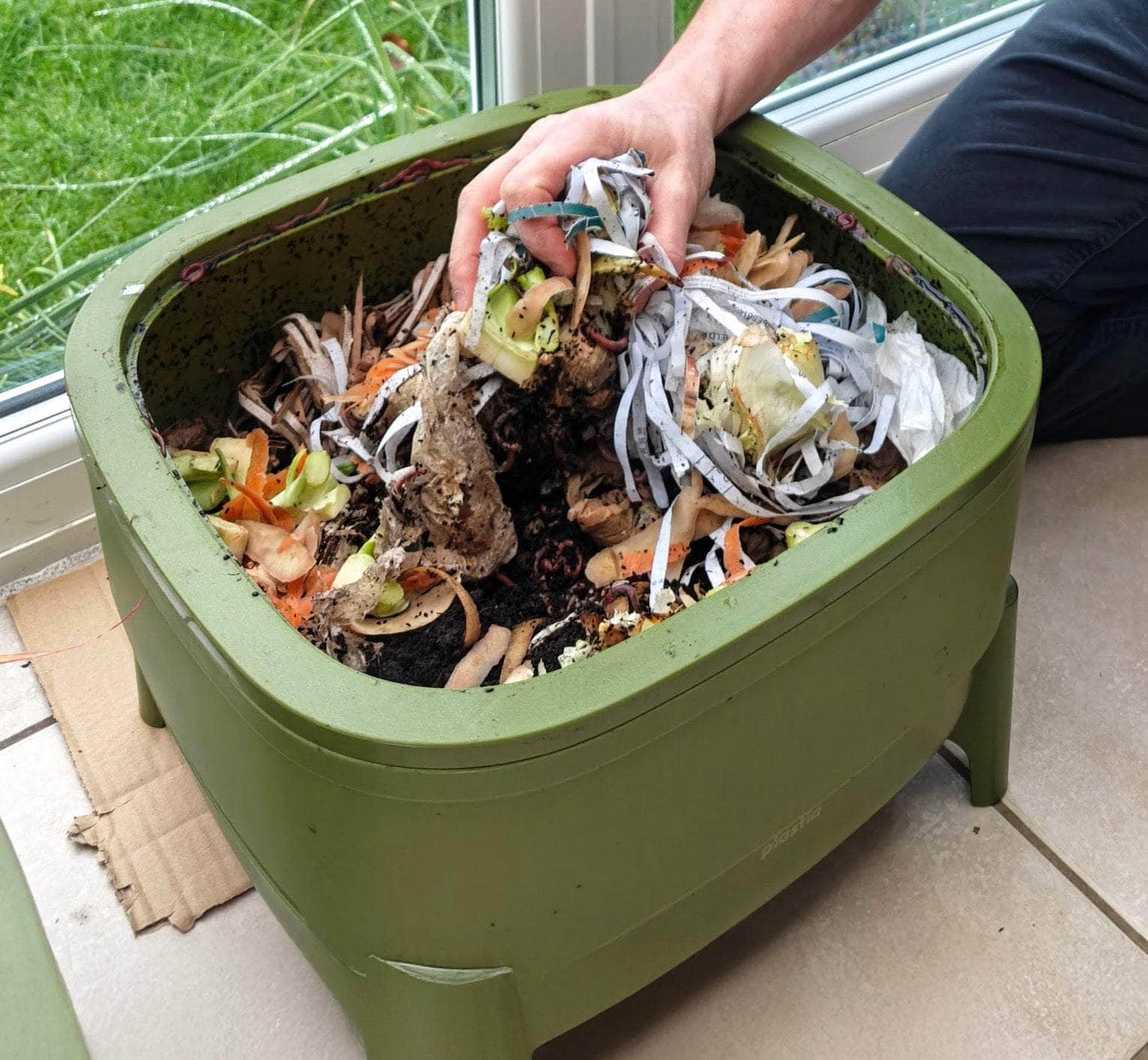 Compact Plastia Worm Farm from Wiggly Wigglers - Green
