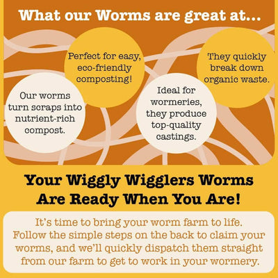 Composting Worms Voucher