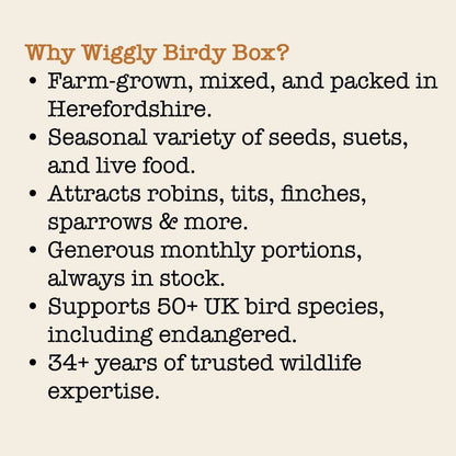 Wiggly Seasonal Birdy Box - One-off Gift