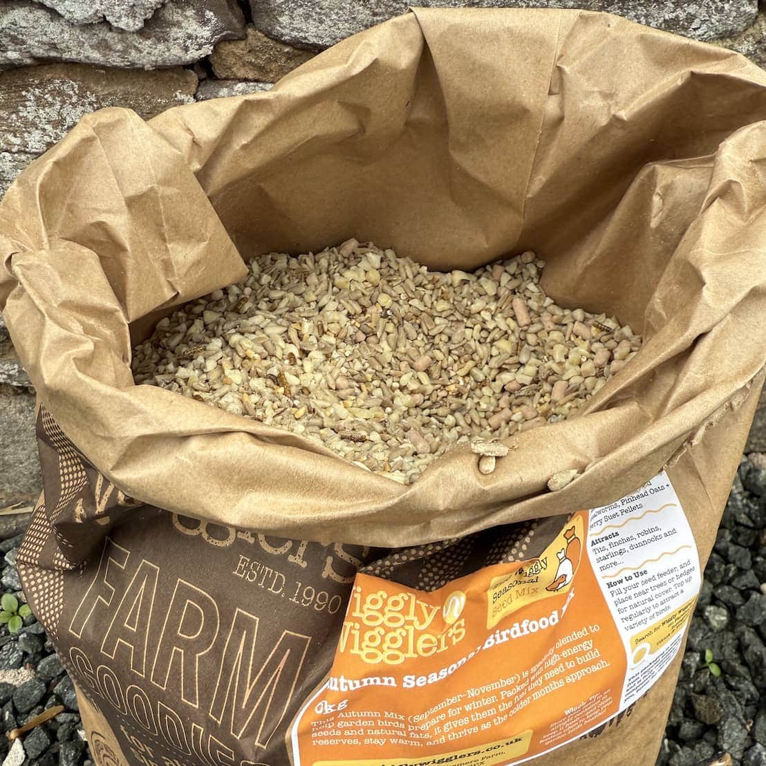 Wiggly Seasonal Seed Mix - Autumn Mix
