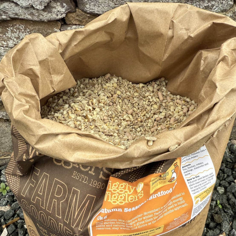Wiggly Seasonal Seed Mix - Autumn Mix