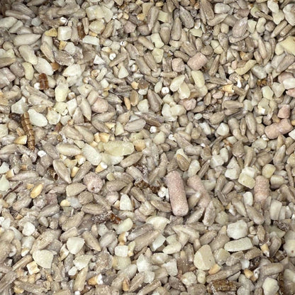 Wiggly Seasonal Seed Mix - Autumn Mix
