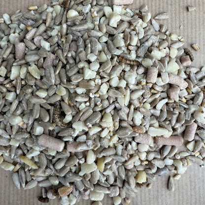 Wiggly Seasonal Seed Mix - Autumn Mix