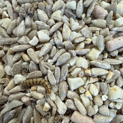 Subscribe & Save Wiggly Seasonal Seed Mix